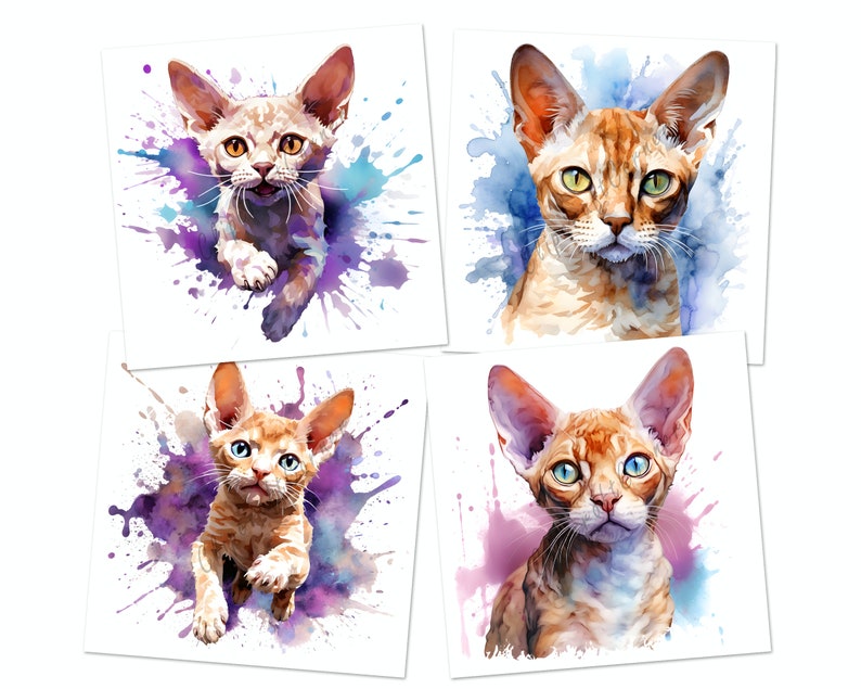 12 Devon Rex Cat Clipart PNG Bundle | Cute Watercolor Cat Clipart PNG ...