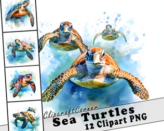12 Sea Turtle Clipart PNG Bundle | Watercolor Sea Animals Clipart PNG | Ocean Clipart PNG Artwork | 6006