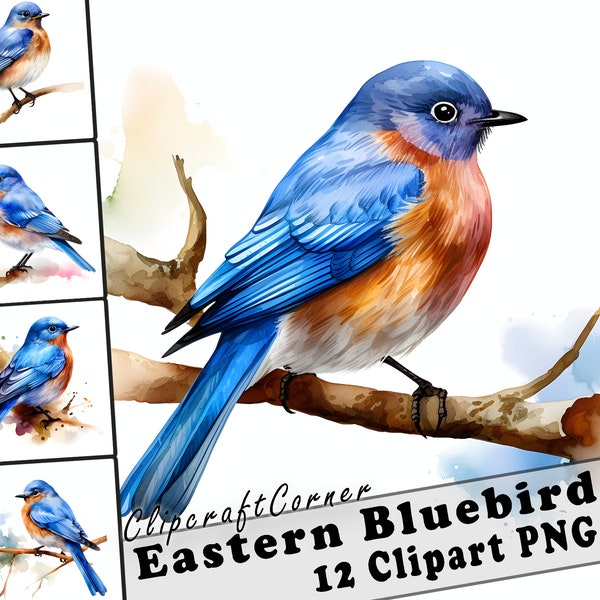 12 Eastern Bluebird Clipart PNG art Bundle | Watercolor Bird Clipart PNG artwork |1015