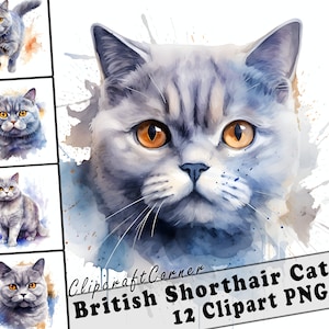 12 British Shorthair Cat Clipart PNG Bundle | Cute Watercolor Cat Clipart PNG | 508