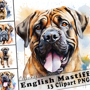 13 English Mastiff Clipart PNG Bundle | Watercolor Dog Clipart PNG | 21