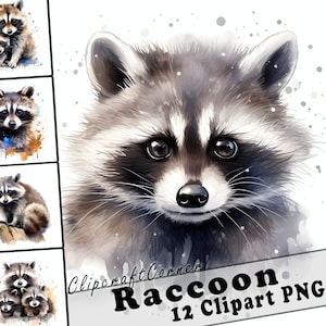 Lot de 12 animaux de la forêt, clipart PNG | Clipart de raton laveur aquarelle PNG | Oeuvre d'art d'animaux des bois | 7008