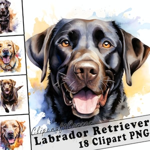 18 Labrador Retriever Clipart PNG Bundle | Watercolor Dog Clipart PNG | 25