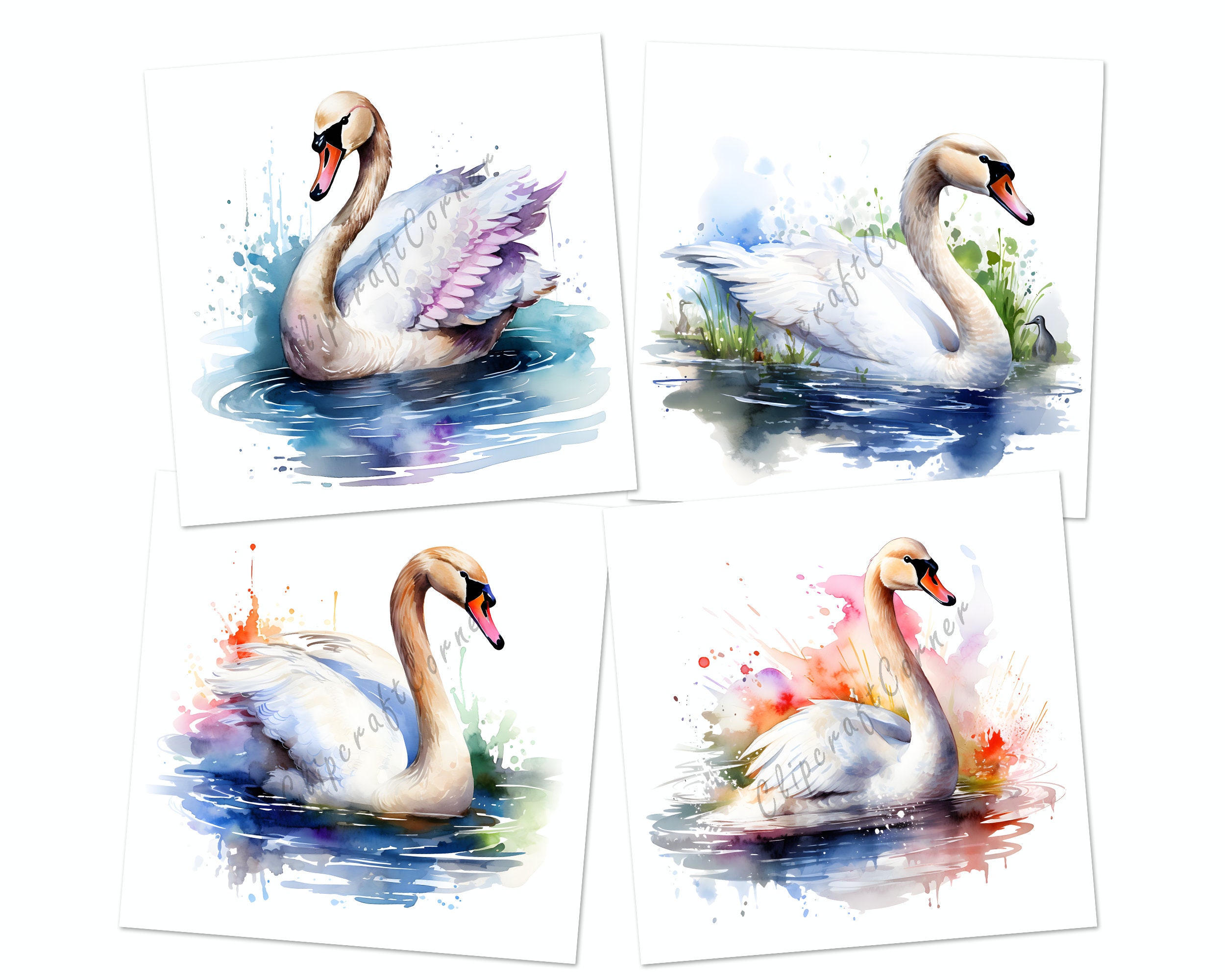 12 Swan Clipart PNG Art Bundle | Watercolor Bird Clipart PNG Artwork ...