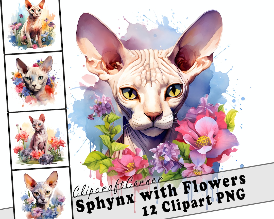 12 Sphynx Cat With Flowers Clipart PNG Bundle | Cute Watercolor Sphynx ...