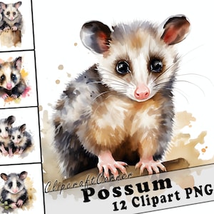 12 Gambá Clipart PNG Pacote de animais florestais | Clipart de gambá aquarela PNG | Arte de animais da floresta | 7022