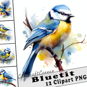 12 Bluetit Clipart PNG art Bundle | Aquarelle Oiseau Clipart PNG oeuvre | 1002