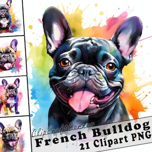 21 Pacote PNG de clipart de buldogue francês | Clipart de cachorro aquarela PNG | 28