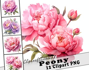 12 Peony Clipart PNG art Bundle | Watercolor Flower Clipart PNG artwork | 2534