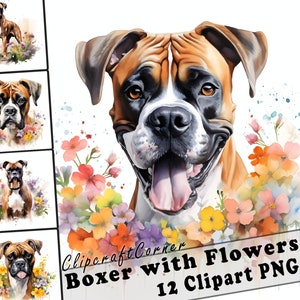 12 Boxer and Flowers Clipart PNG Bundle | Watercolor Dog Clipart PNG | 78