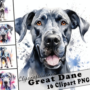 16 Great Dane Clipart PNG Bundle | Watercolor Dog Clipart PNG | 31