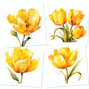 12 Yellow Tulip Clipart PNG Art Bundle | Watercolor Flower Clipart PNG ...