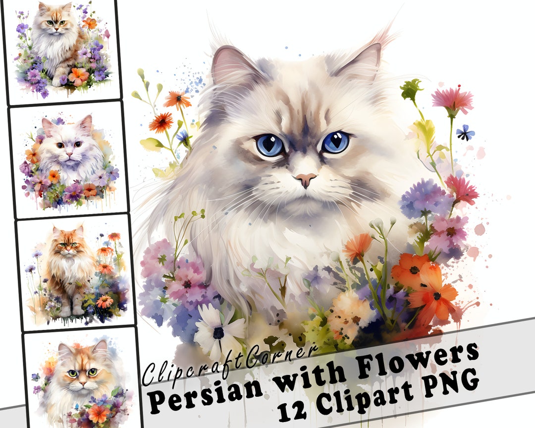 12 Persian Cat With Flowers Clipart PNG Bundle | Cute Watercolor ...