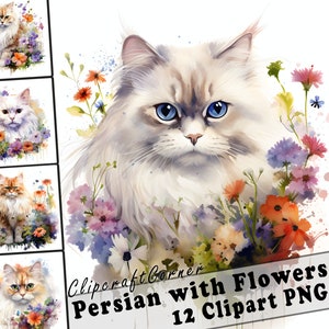 12 Persian Cat with Flowers Clipart PNG Bundle | Cute Watercolor Persian Cat Clipart PNG | 554