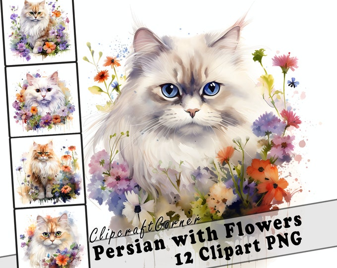 10 Watercolor Cat Clipart Clip Art Long Hair Cat Images Bundle Shabby ...