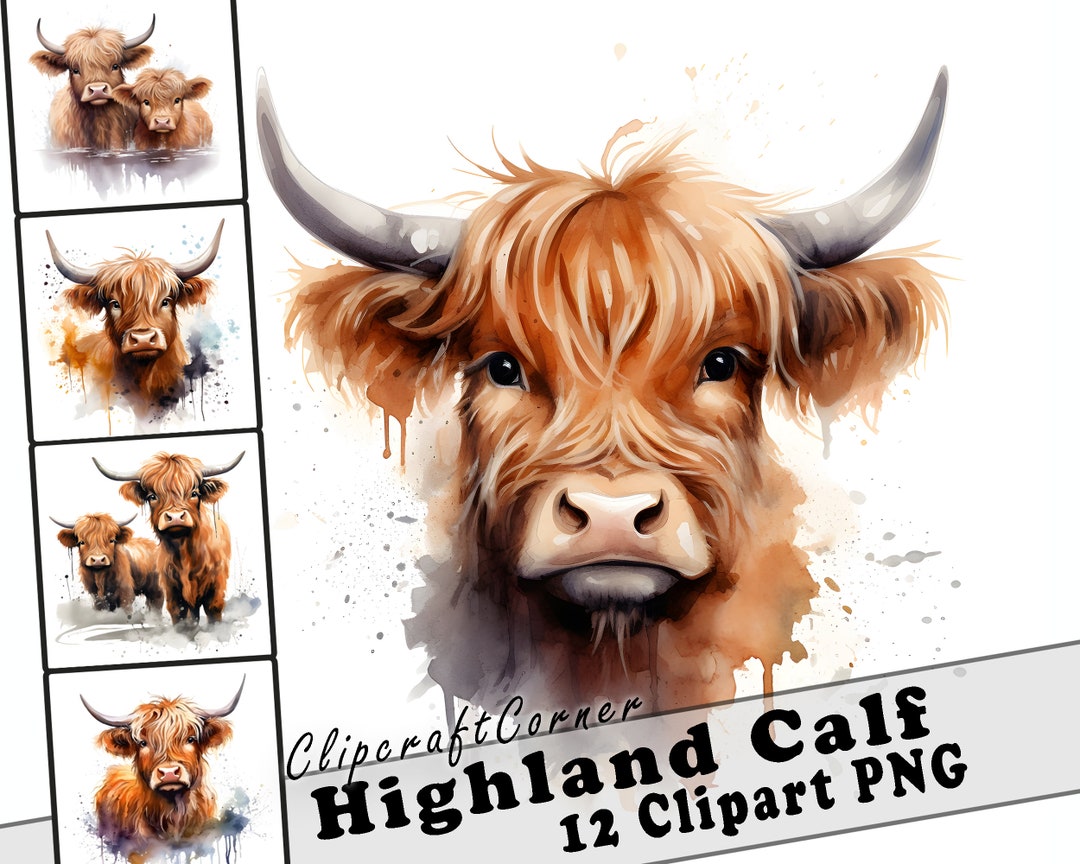 12 Highland Calf Clipart PNG Bundle | Watercolor Highland Cow Clipart ...