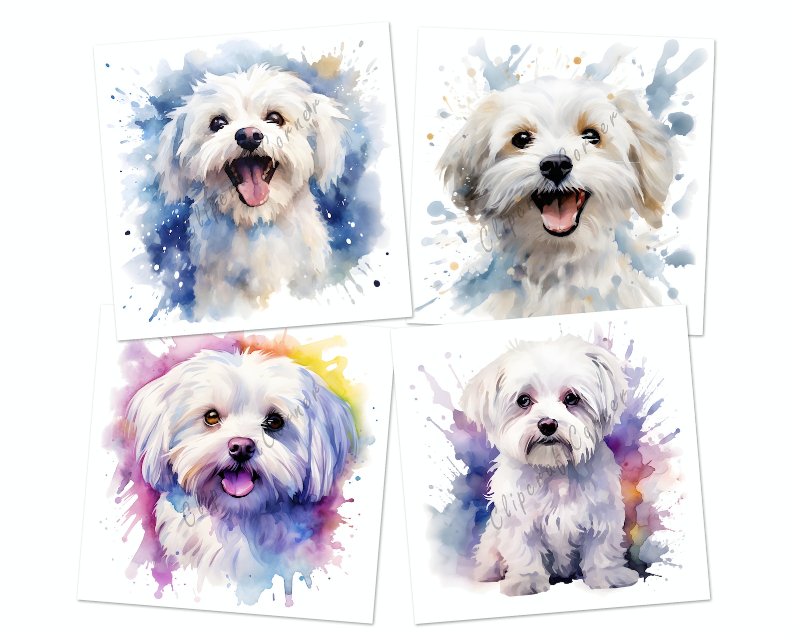 14 Maltese Clipart PNG Bundle | Watercolor Dog Clipart PNG | 11 - Etsy