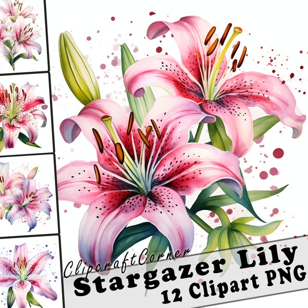 12 Stargazer Lily Clipart PNG art Bundle | Watercolor Flower Clipart PNG artwork | 2510