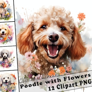 12 Poodle and Flowers Clipart PNG Bundle | Watercolor Dog Clipart PNG | 74