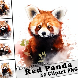 12 Red Panda Clipart PNG Bosque Animal Bundle / Acuarela Red Panda Clipart PNG / Woodland Animal Artwork / 7017