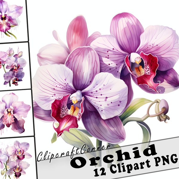 12 Orchid Clipart PNG art Bundle | Watercolor Flower Clipart PNG artwork | 2530