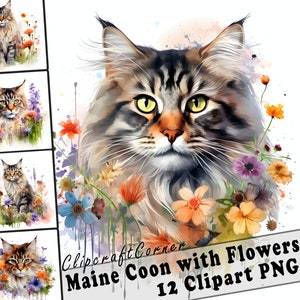 12 MaineCoon Cat with Flowers Clipart PNG Bundle | Cute Watercolor MaineCoon Cat Clipart PNG | 555