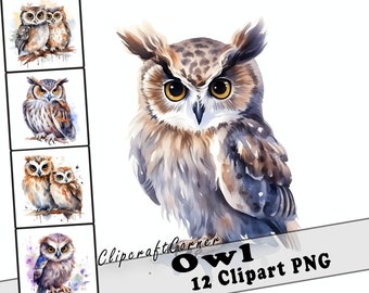 12 Owl Clipart PNG Forest Animal Bundle | Watercolor Owl Clipart PNG | Woodland Animal Artwork | 7009