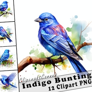 May include: A digital painting of a blue indigo bunting bird perched on a branch. The bird has a bright blue body with a red breast and a long tail. The background is a watercolor wash of green and blue.