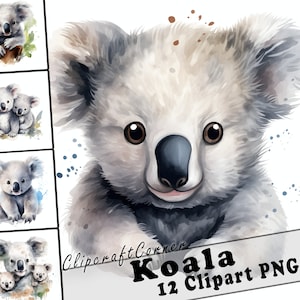 12 Koala Clipart PNG Forest Animal Bundle | Watercolor Koala Clipart PNG | Woodland Animal Artwork | 7020