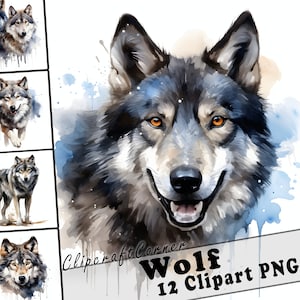 12 cliparts loups PNG animaux de la forêt | Illustration de loup à l'aquarelle PNG | Oeuvre d'art d'animaux des bois | 7033