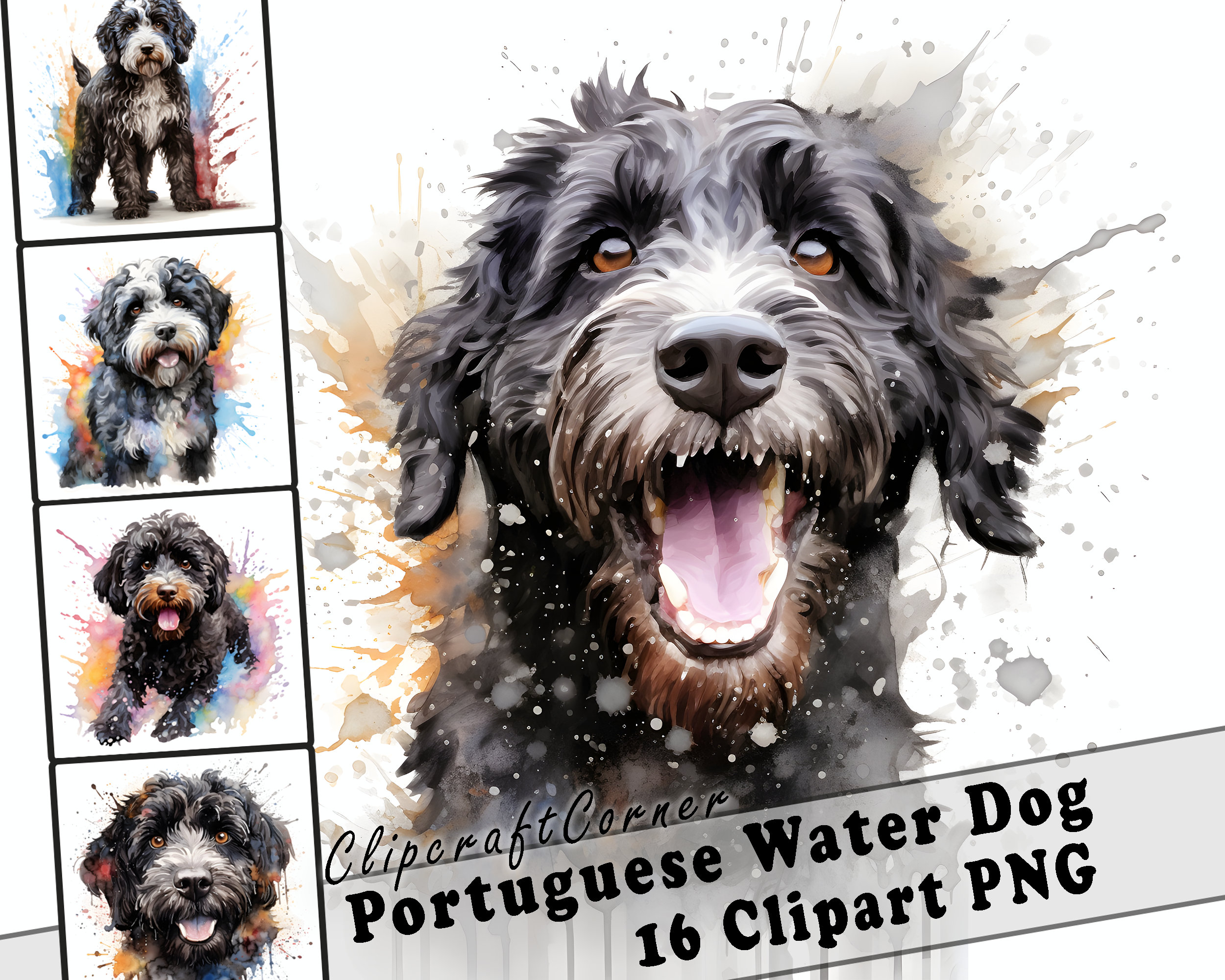 Portuguese Water Dog - Irene Portuguese Water Dog - Irene