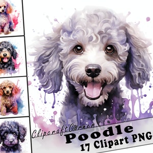 17 Poodle Clipart PNG Bundle | Watercolor Dog Clipart PNG | 26