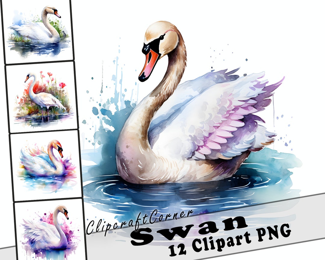 12 Swan Clipart PNG Art Bundle | Watercolor Bird Clipart PNG Artwork ...