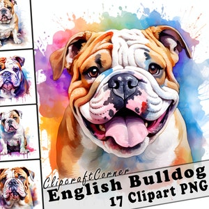 17 English Bulldog Clipart PNG Bundle | Watercolor Dog Clipart PNG | 39