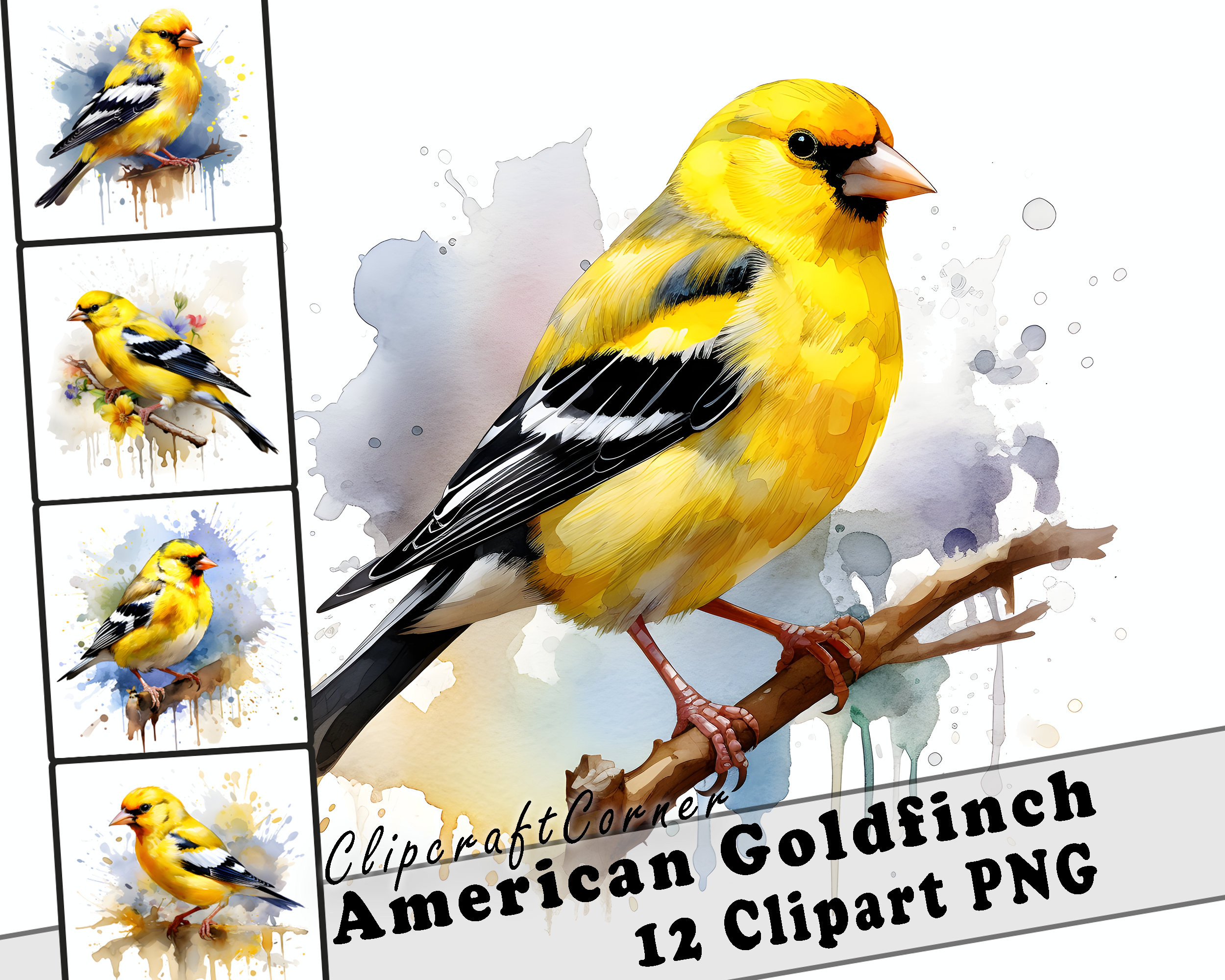 12 American Goldfinch Clipart PNG Art Bundle | Watercolor Bird Clipart ...