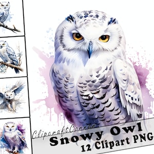 12 cliparts Harfang des neiges au format PNG | Aquarelle oiseau Clipart PNG oeuvre | 1042