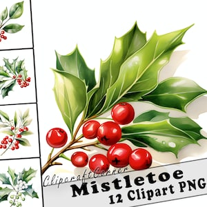 12 Muérdago Clipart PNG arte Paquete / Acuarela Flor Clipart PNG obra de arte / 2516