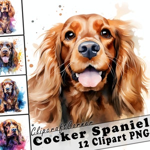 May include: A digital painting of a Cocker Spaniel dog with brown fur and a pink tongue sticking out. The dog is surrounded by watercolour splashes in shades of blue, purple, and green. The text "Clipcraft Corner Cocker Spaniel 12 Clipart PNG" is at the bottom of the image.