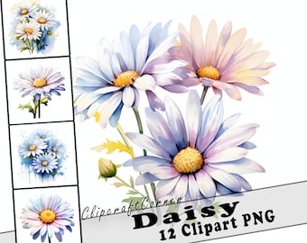 12 Daisy Clipart PNG art Bundle | Watercolor Flower Clipart PNG artwork | 2529