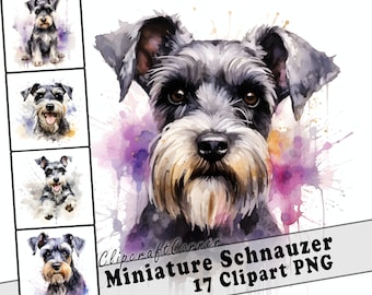 17 Miniature Schnauzer Clipart PNG Bundle | Watercolor Dog Clipart PNG | 12