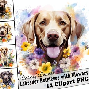12 Labrador Retriever and Flowers Clipart PNG Bundle | Watercolor Dog Clipart PNG | 69