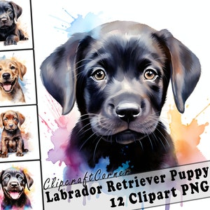 12 Puppy Labrador Retriever Clipart PNG Bundle | Watercolor Puppy Dog Clipart PNG | 59
