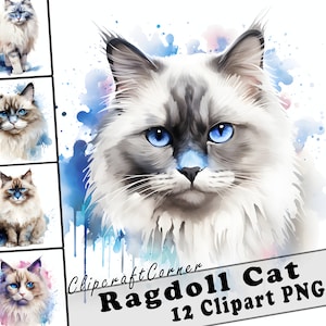 12 Ragdoll Cat Clipart PNG Bundle | Cute Watercolor Cat Clipart PNG | 507