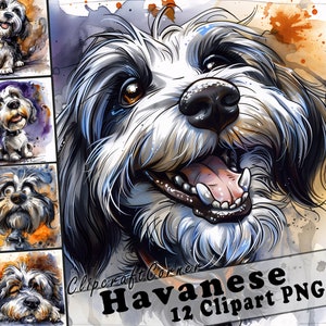 12 Havanese Clipart PNG Funny Dog Bundle | Watercolor Dog Caricature Clipart PNG | Animal Clipart Artwork | 146