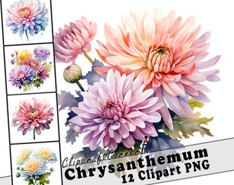 12 Chrysanthemum Clipart PNG art Bundle | Watercolor Flower Clipart PNG artwork | 2538