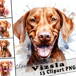 13 Vizsla Clipart PNG Bundle | Aquarell Hund Clipart PNG | 22