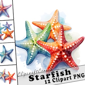 12 Starfish Clipart PNG Bundle | Watercolor Sea Animals Clipart PNG | Ocean Clipart PNG Artwork | 6009