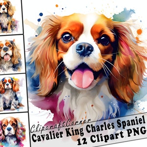12 Cavalier King Charles Spaniel Clipart PNG Paquete / Acuarela Perro PNG Clipart / 3