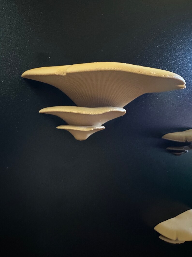 Mushroom Shelf for Reptile Terrariums Etsy