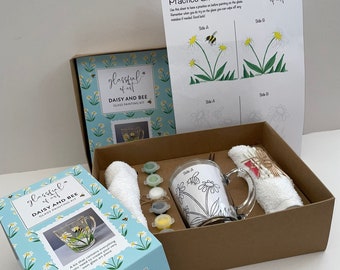 Glass Mug Painting Kit - DIY Starter Craft Kit | Create Your Very Own Glass Art Piece | Daisy and Bee Design